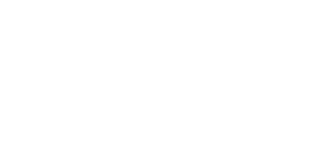 PALPARADISE MARCA_BLANCO ALTERNATIVO